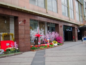 DSC03963