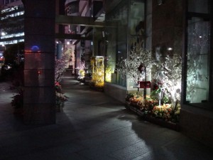 DSC04189