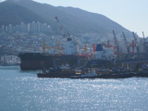 IMG_0501