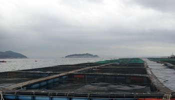 남해 양식장 산소발생기 전원공급용 디젤 발전기 KDE1